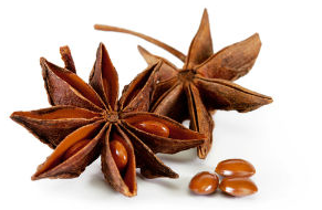 Star Anise